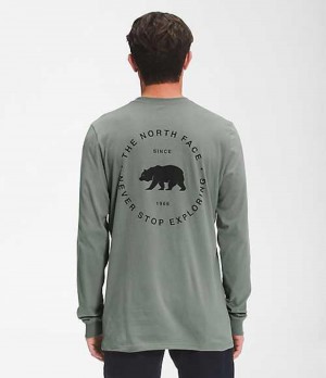 The North Face Bear NSE T-Shirt Herr Gröna | 2537904-VI