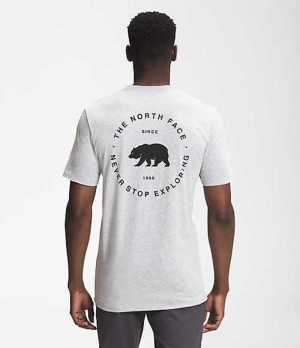 The North Face Bear NSE T-Shirt Herr Ljusgrå | 1038752-TU