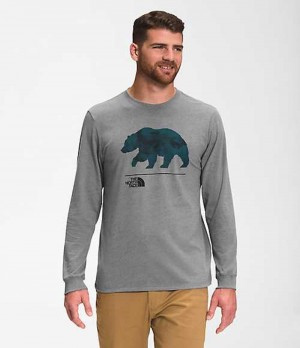 The North Face Bearscape T-Shirt Herr Grå Olika Färger | 0647231-FE