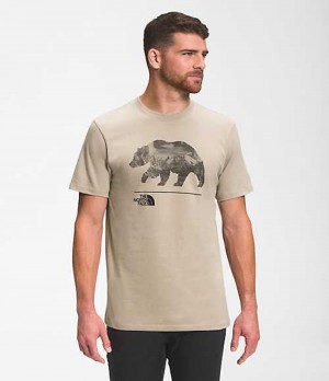 The North Face Bearscape T-Shirt Herr Grå | 0721835-NE