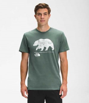 The North Face Bearscape T-Shirt Herr Gröna | 8350261-SG