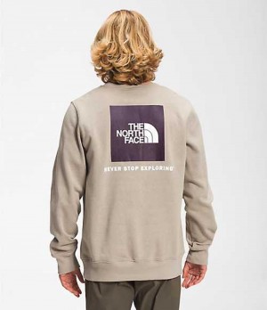 The North Face Box NSE Sweatshirt Herr Grå | 7815249-FR