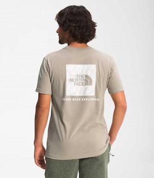 The North Face Box NSE T-Shirt Herr Grå | 1354689-DW