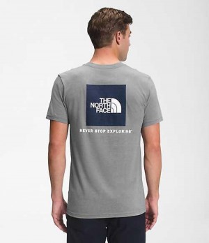 The North Face Box NSE T-Shirt Herr Grå | 9401253-IZ