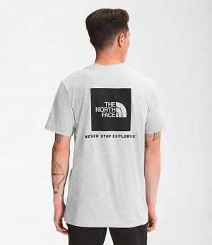 The North Face Box NSE T-Shirt Herr Ljusgrå | 7435296-VN