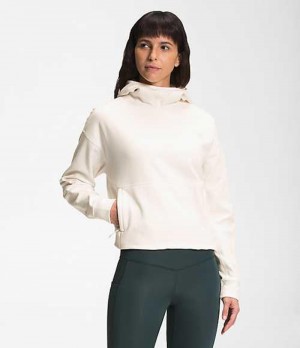 The North Face Canyonlands Sweatshirt Dam Vita | 7351248-AP