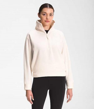 The North Face City Standard Sweatshirt Dam Vita | 8695740-RS