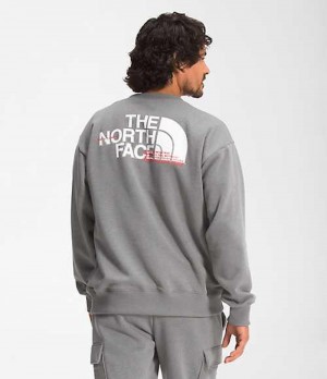 The North Face Coordinates Sweatshirt Herr Grå | 5602791-FC