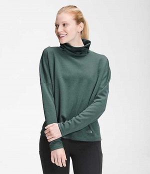 The North Face EA Basin Sweatshirt Dam Gröna | 5671829-QO