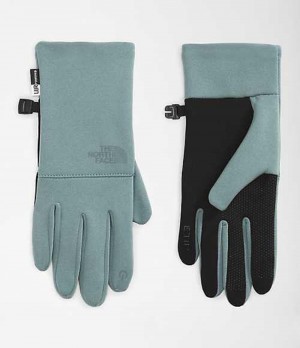 The North Face Etip™ Recycled Handskar Dam Silver Blå | 9423785-WZ