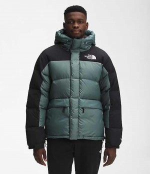 The North Face HMLYN Dunjacka Herr Gröna | 0257489-ON