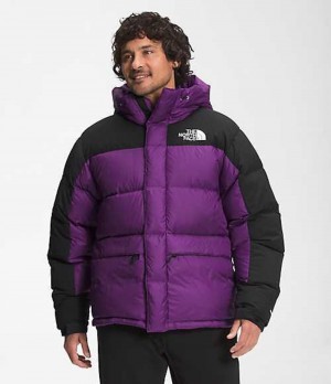 The North Face HMLYN Dunjacka Herr Lila | 7256941-CU