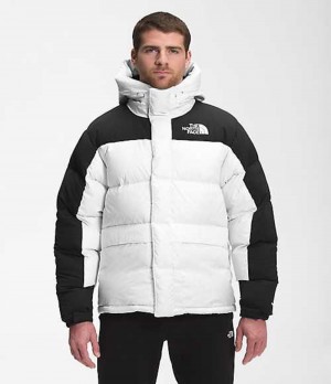 The North Face HMLYN Dunjacka Herr Vita | 6293718-DZ