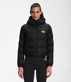 The North Face Hydrenalite Dunjacka Dam Svarta | 0795614-XT