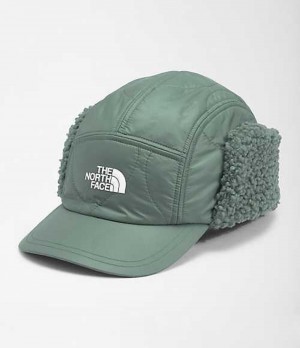 The North Face Insulated Earflap Hatt Herr Gröna | 2703916-ZL