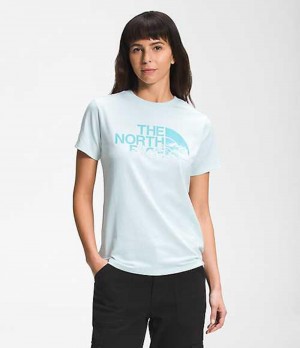 The North Face Logo Play T-Shirt Dam Blå | 3410597-TK