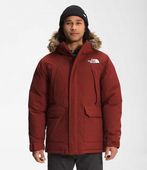 The North Face McMurdo Dunjacka Herr Röda | 4197865-BK