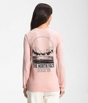 The North Face Mountain T-Shirt Dam Bruna Rosa | 2468905-FQ