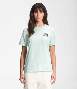 The North Face Mountain T-Shirt Dam Mintgröna | 1504872-ZV