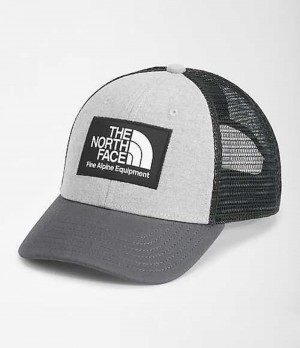 The North Face Mudder Trucker Mössa Pojke Ljusgrå | 2513094-IK