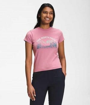 The North Face Outdoors T-Shirt Dam Lavendel | 8740359-TP