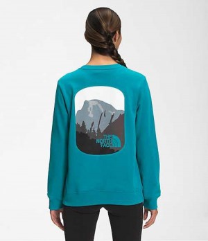 The North Face Parks Sweatshirt Dam Blå | 5240386-YM