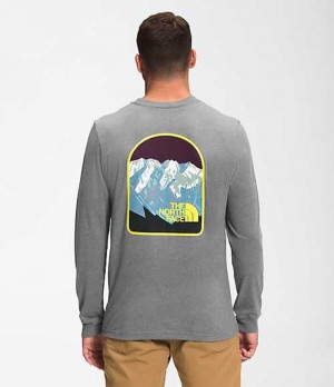 The North Face Parks T-Shirt Herr Grå | 6079358-WP