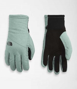 The North Face Shelbe Raschel Handskar Dam Gröna | 3794520-PV