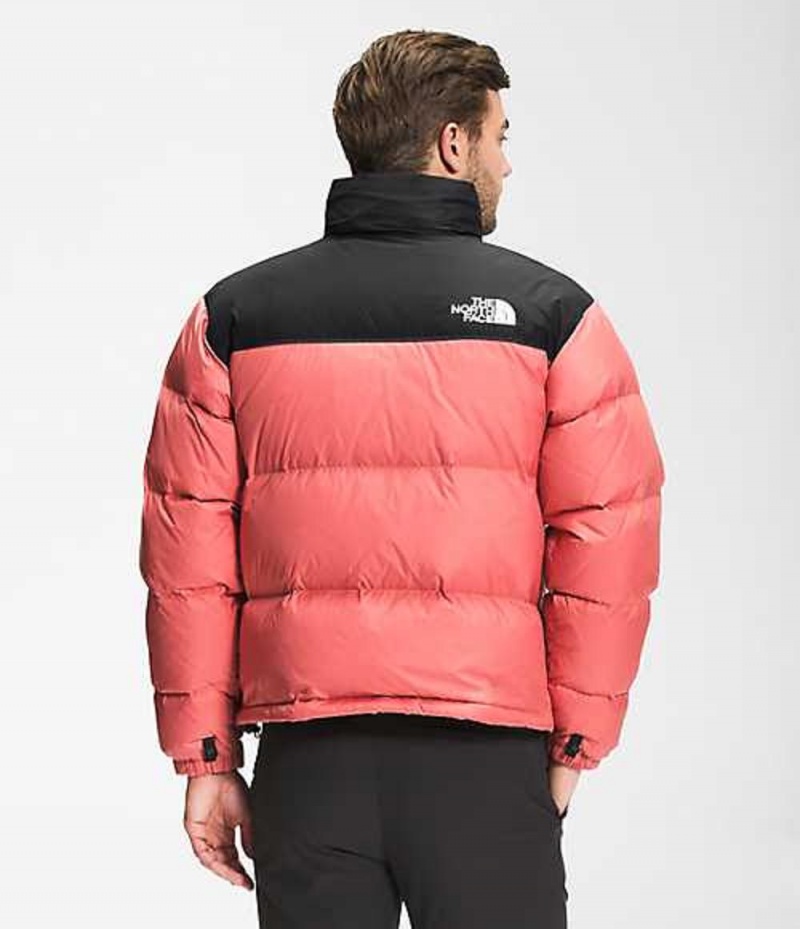 The North Face 1996 Retro Nuptse Dunjacka Herr Rosa | 3796401-LP