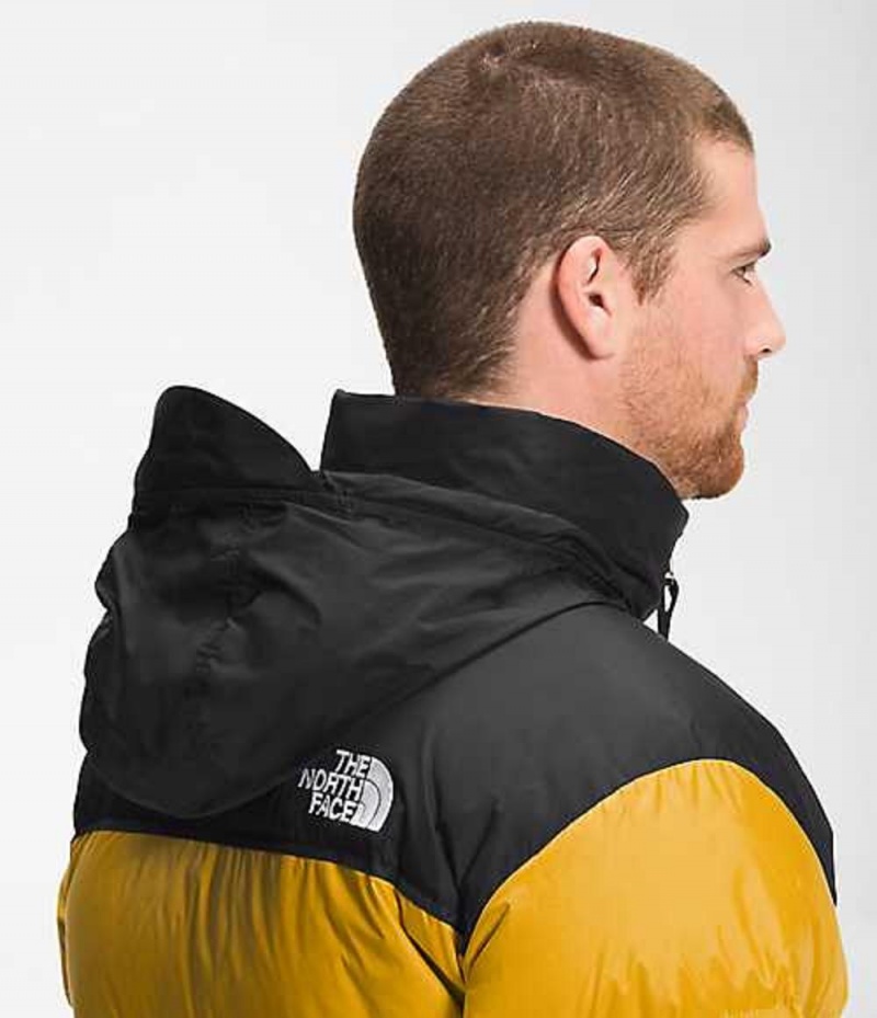 The North Face 1996 Retro Nuptse Dunjacka Herr Gula | 5380621-JA