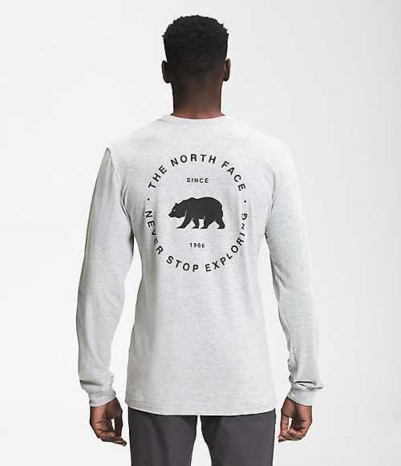 The North Face Bear NSE T-Shirt Herr Ljusgrå | 1673920-CZ