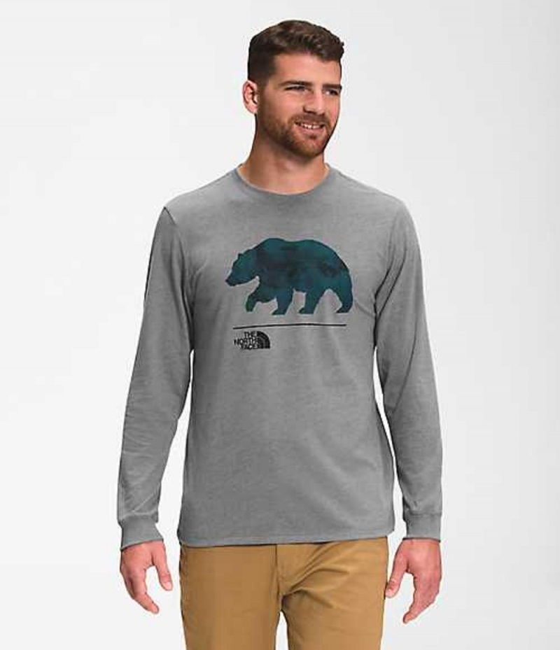 The North Face Bearscape T-Shirt Herr Grå Olika Färger | 0647231-FE