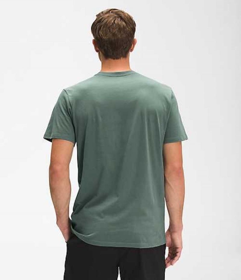 The North Face Bearscape T-Shirt Herr Gröna | 8350261-SG