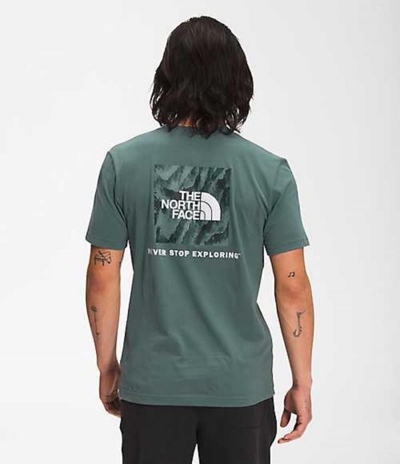 The North Face Box NSE T-Shirt Herr Gröna | 6437810-UH