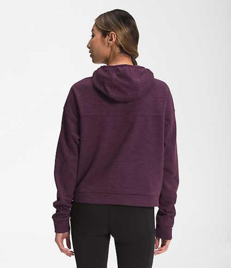 The North Face Canyonlands Sweatshirt Dam Vinröda | 5168374-EI