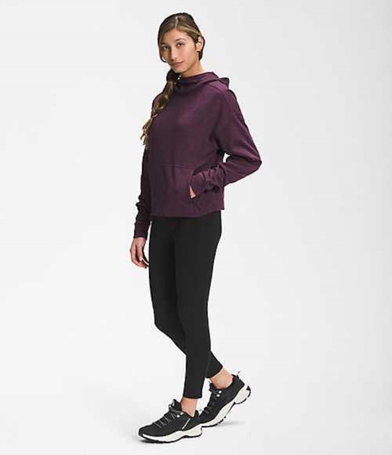 The North Face Canyonlands Sweatshirt Dam Vinröda | 5168374-EI