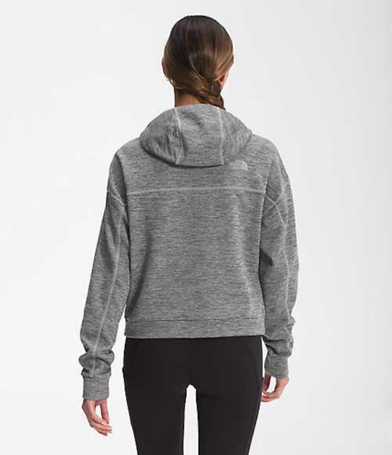 The North Face Canyonlands Sweatshirt Dam Grå | 6470913-AF