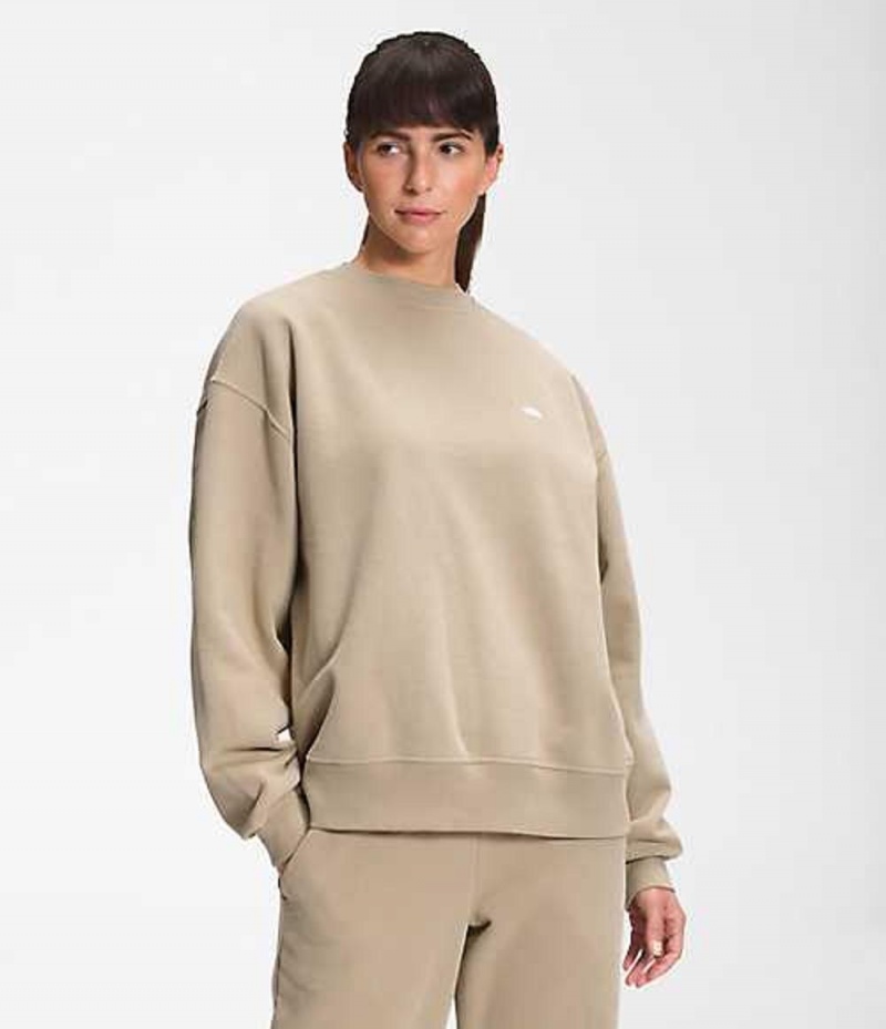 The North Face City Standard Sweatshirt Dam Grå | 8015374-PV