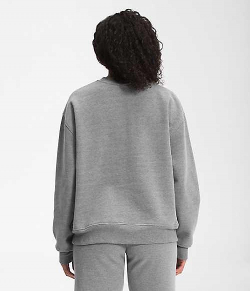 The North Face City Standard Sweatshirt Dam Grå | 1425607-YU