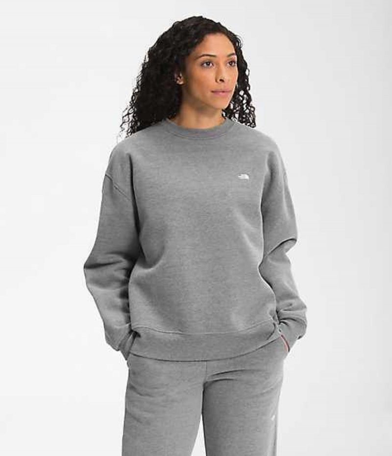 The North Face City Standard Sweatshirt Dam Grå | 1425607-YU