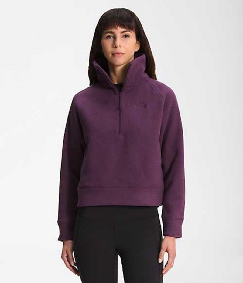 The North Face City Standard Sweatshirt Dam Vinröda | 6304852-FO