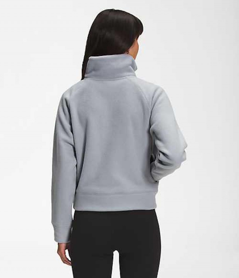 The North Face City Standard Sweatshirt Dam Grå | 9068521-MQ