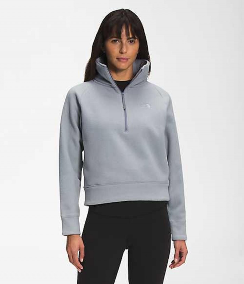 The North Face City Standard Sweatshirt Dam Grå | 9068521-MQ