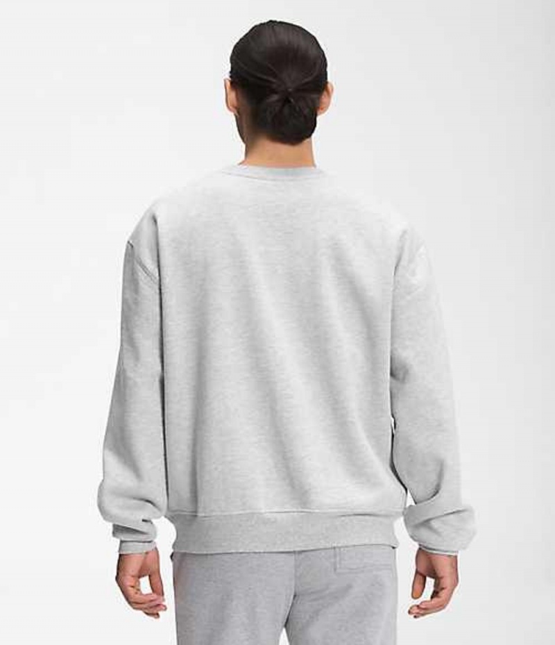 The North Face City Standard Sweatshirt Herr Ljusgrå | 5261398-GS