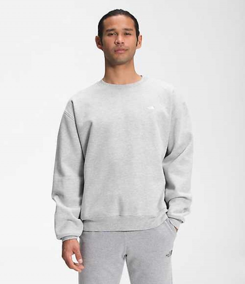 The North Face City Standard Sweatshirt Herr Ljusgrå | 5261398-GS