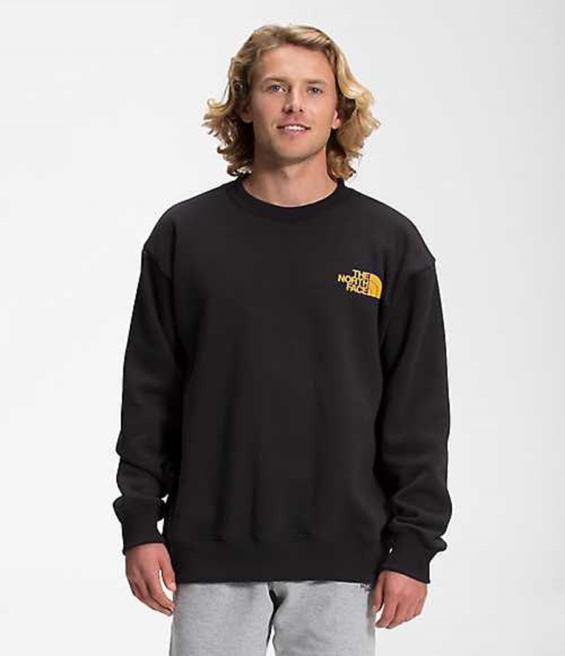 The North Face Coordinates Sweatshirt Herr Svarta | 0284937-VH