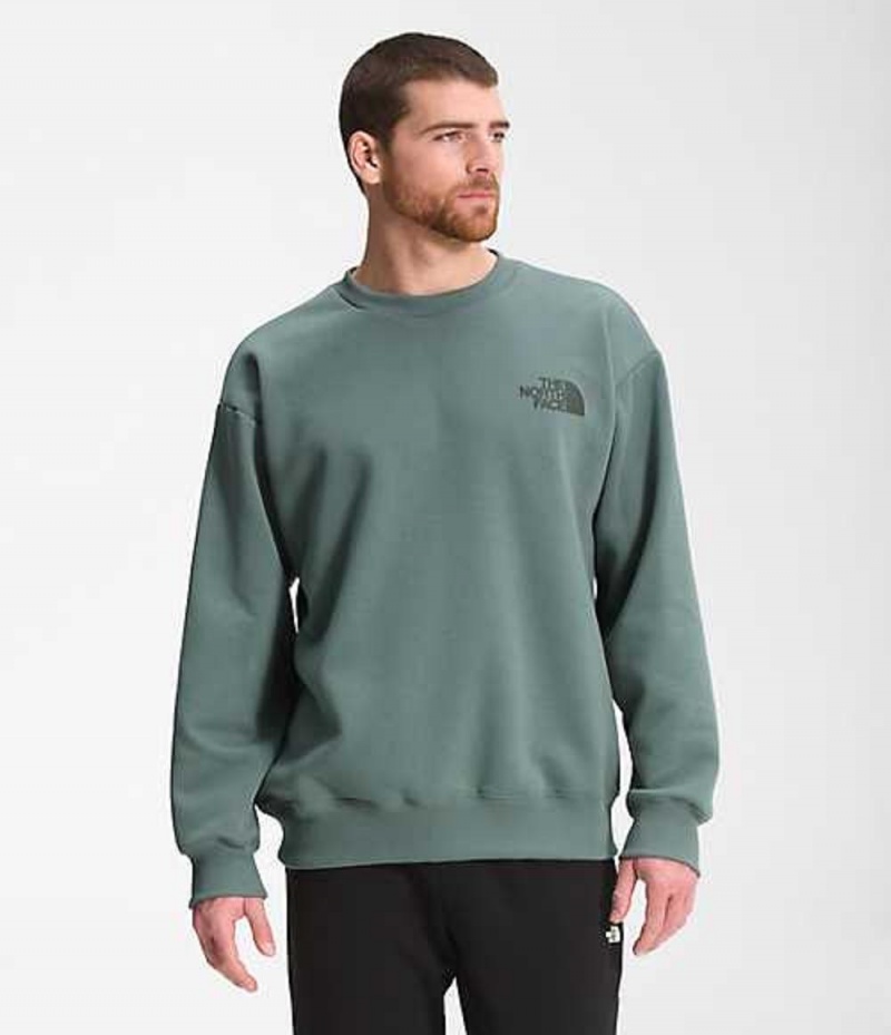 The North Face Coordinates Sweatshirt Herr Gröna | 1524803-IP