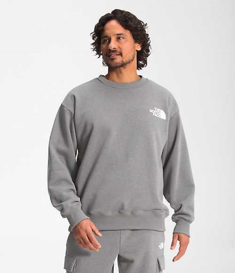 The North Face Coordinates Sweatshirt Herr Grå | 5602791-FC