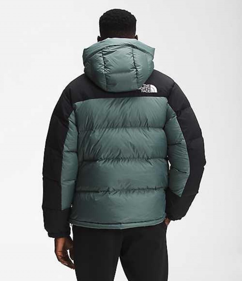 The North Face HMLYN Dunjacka Herr Gröna | 0257489-ON