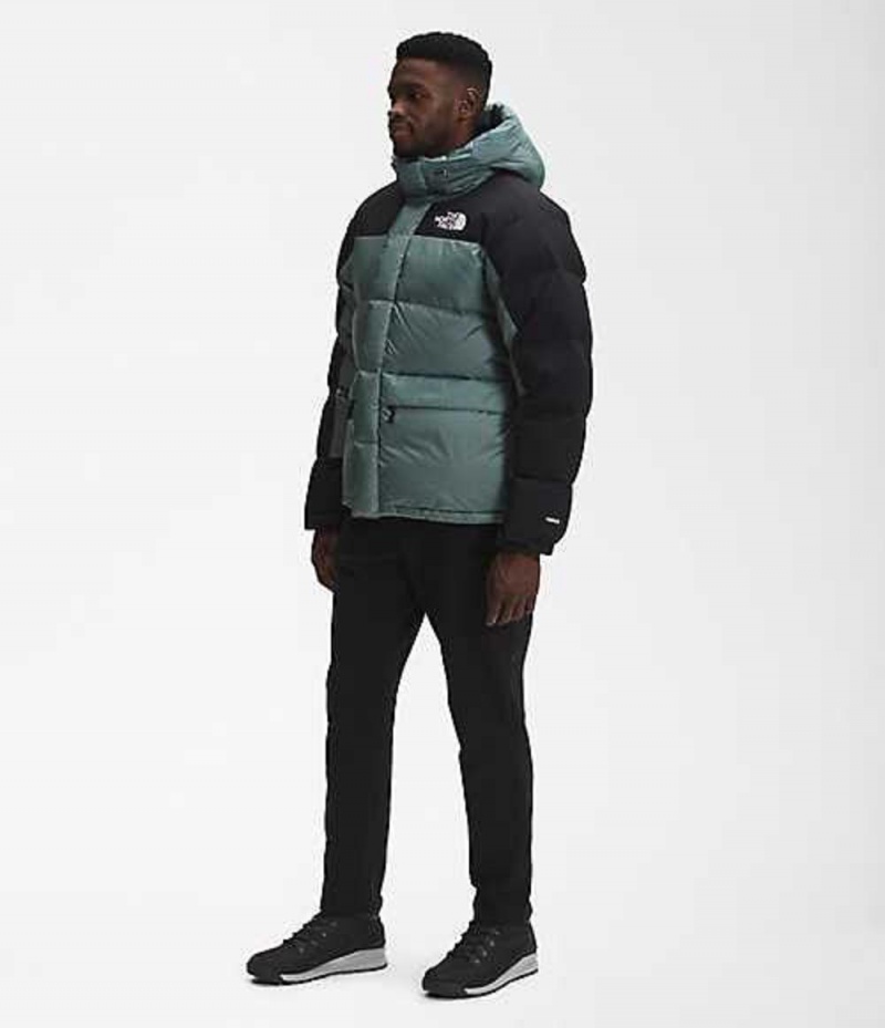 The North Face HMLYN Dunjacka Herr Gröna | 0257489-ON